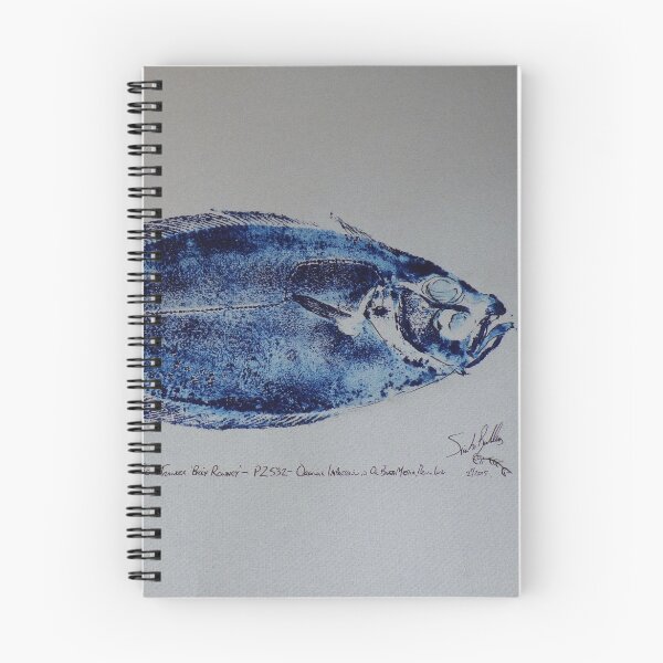 Item preview, The 'Soul' of Newlyn - Cornish Megrim Sole - Newlyn Fish Art (Gyotaku) designed and sold by PortholeStudio.