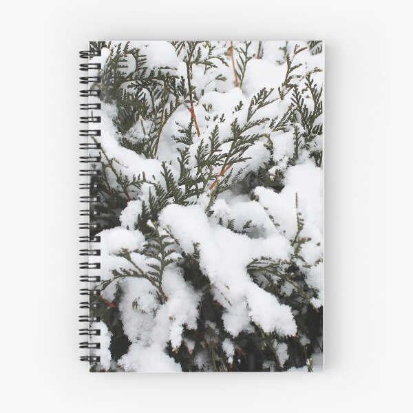 Item preview, Cedar in the Snow designed and sold by Susie Kramer.