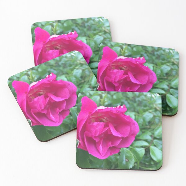 Item preview, Pink Rose designed and sold by Tony  Ruther.