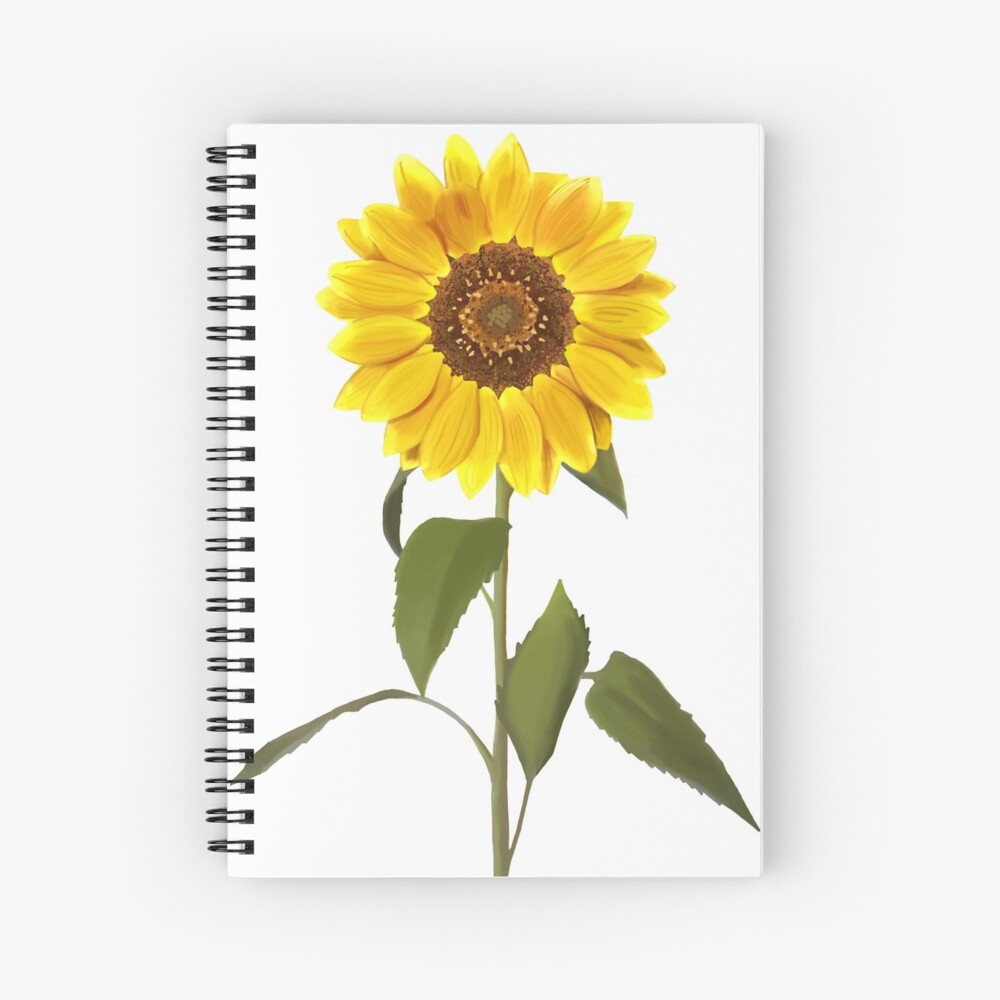 sunflower drawing black style and pink background - Sunflower - Posters and  Art Prints | TeePublic