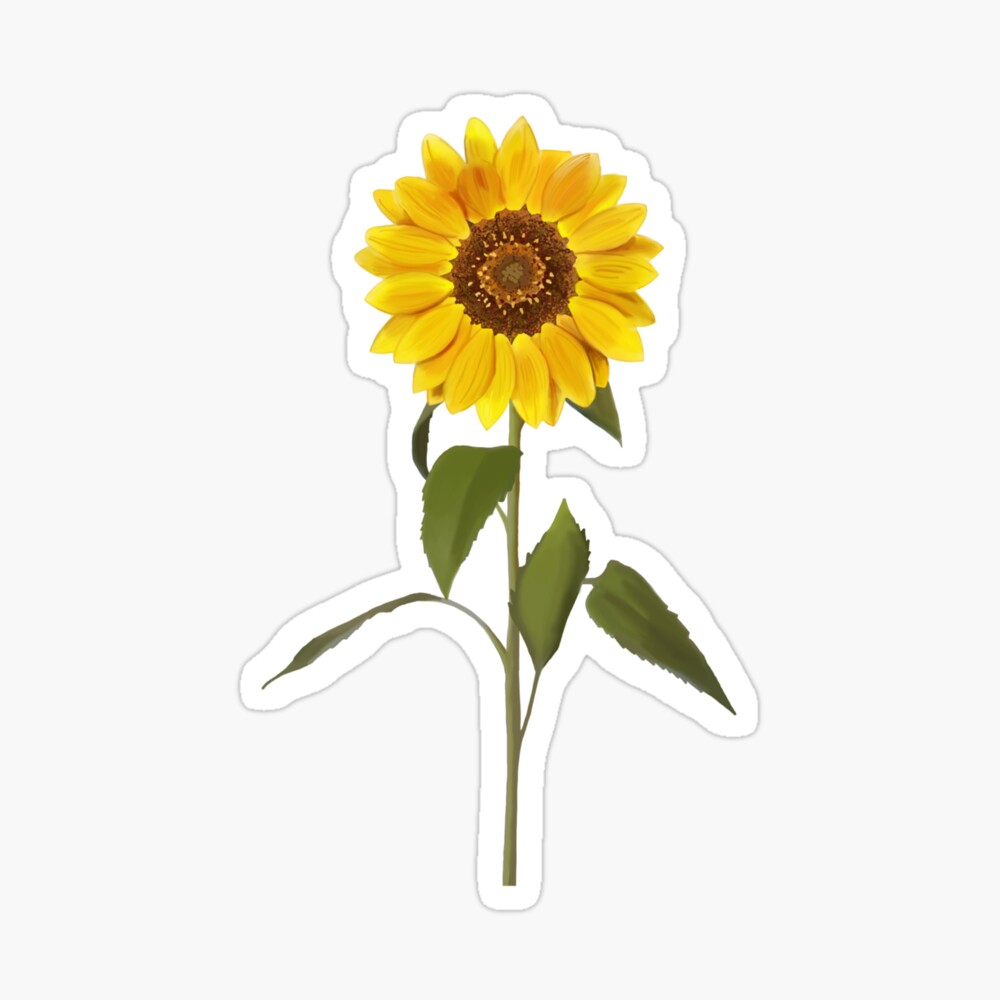 A sunflower drawing flat design for a t-shirt, with retro colors, using 4  colors maximum, and can be vectorised easely on Craiyon