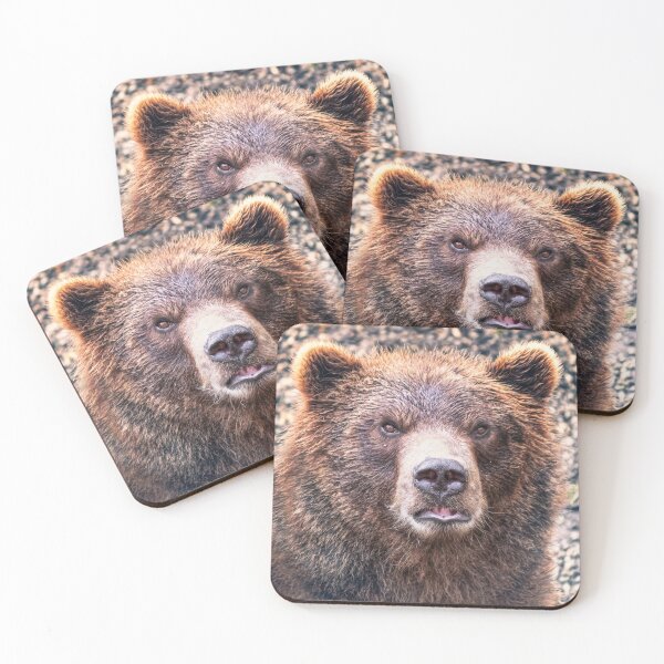 Item preview, I Bear To Differ! 2 designed and sold by Alex Preiss.