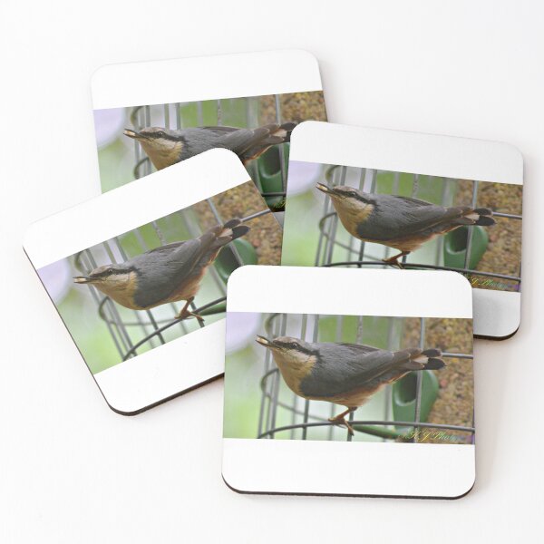 Item preview, nuthatch feeding time designed and sold by dbrDurham.