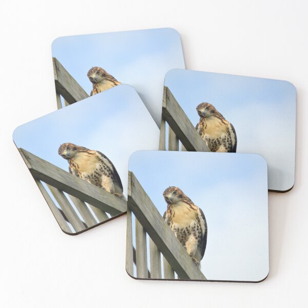 Item preview, Red Tail Hawk designed and sold by Drgnfly4free.