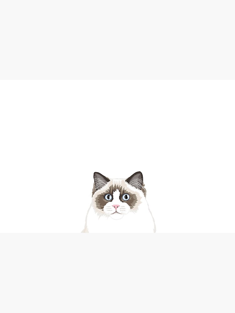 Seal Bicolor Ragdoll by rustickittens