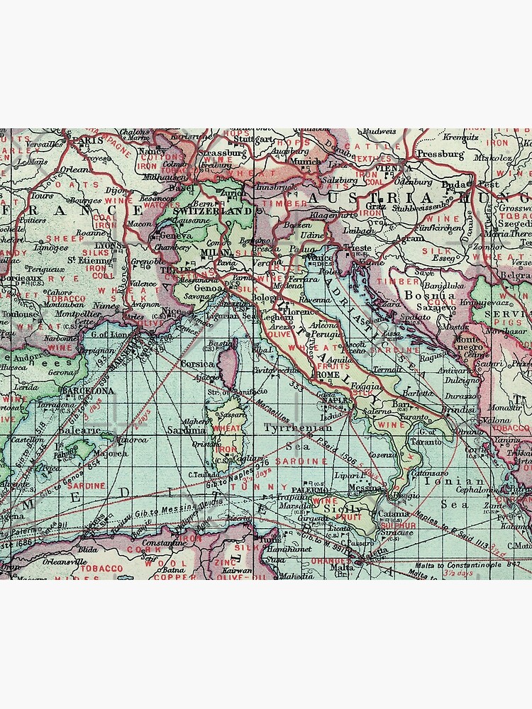 Vintage Italy Map by Lidra