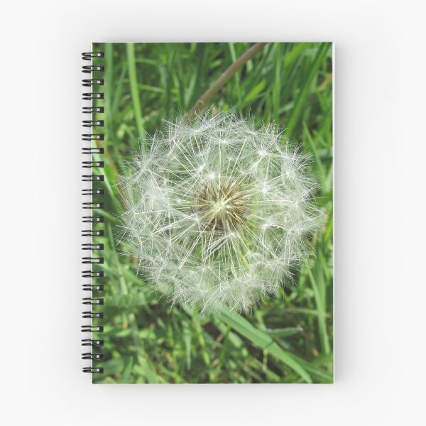 Item preview, A single Dandelion designed and sold by delightedtodraw.