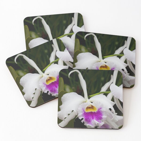 Item preview, Purple and white Orchid close up designed and sold by Allen Penton.