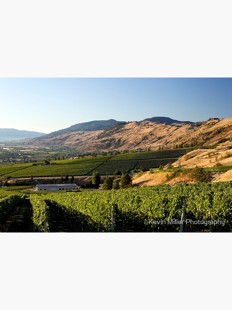"Okanagan Valley Winery Vineyard Landscape" Poster for Sale by