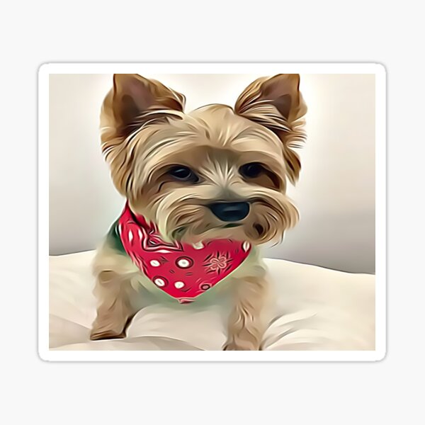 Item preview, Australian Silky Terrier designed and sold by Sunleil.