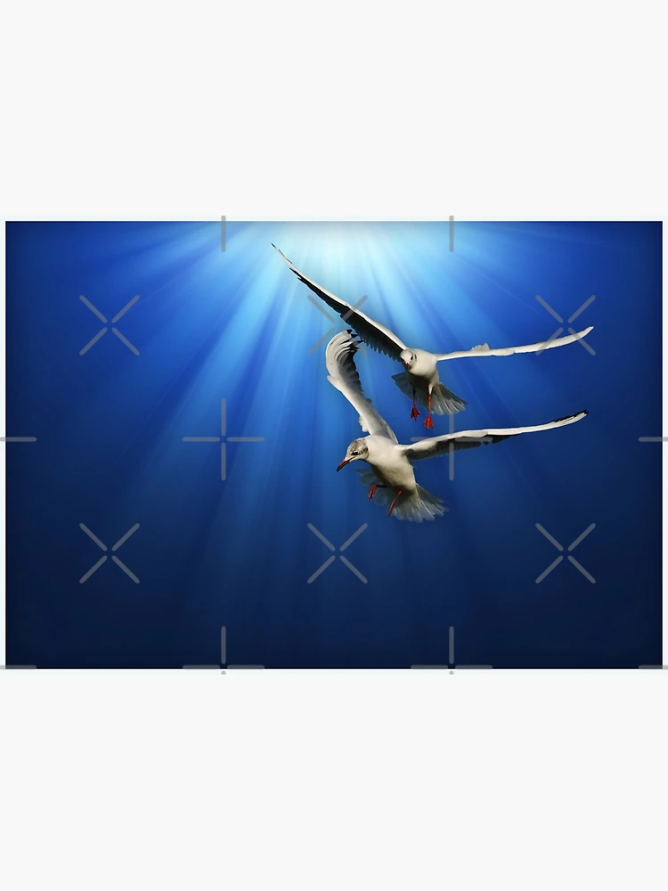 Thumbnail 3 of 3, Poster, Two gulls designed and sold by flashcompact.