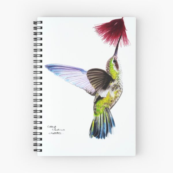 Item preview, A Hummingbird designed and sold by cathyscreations.