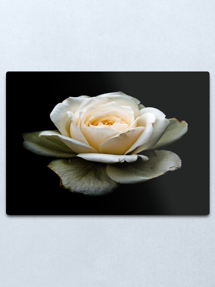 Alternate view of Black and White Metal Print