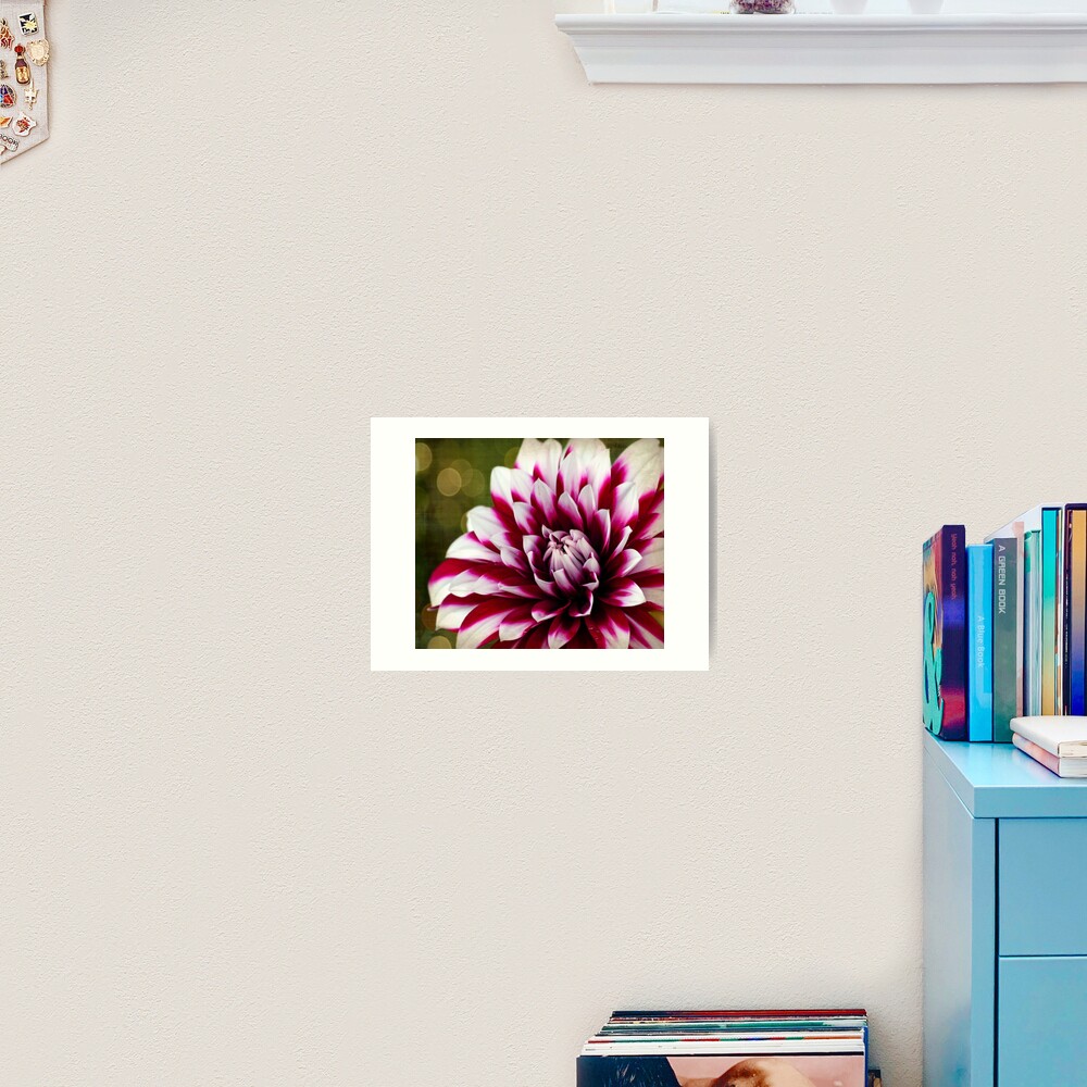Dahlia. Art Print