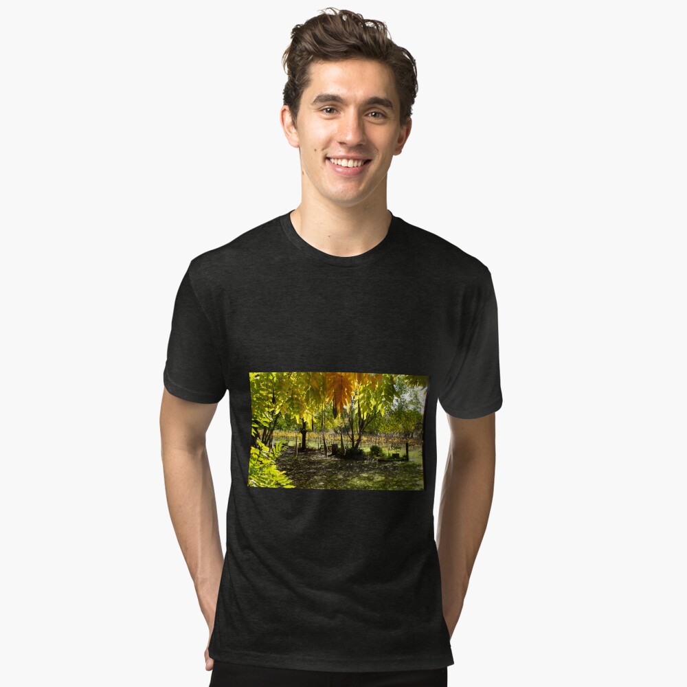 Item preview, Tri-blend T-Shirt designed and sold by MagpieSprings.
