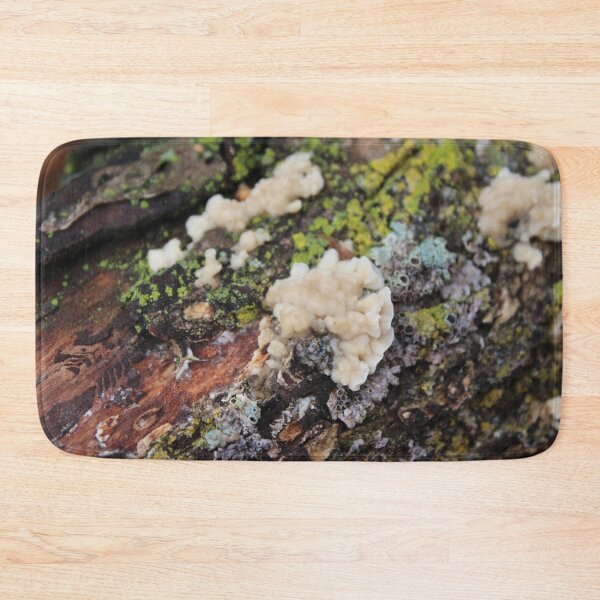 Item preview, Fungus on a Log designed and sold by Susie Kramer.
