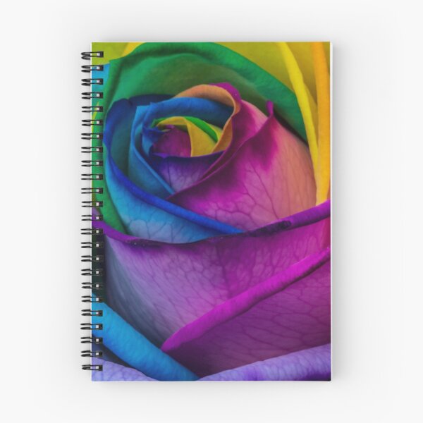 Item preview, Rainbow Rose Fotografía designed and sold by Pixie Copley LRPS.