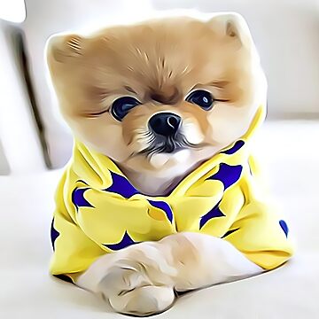 Pomeranian pyjamas 2024