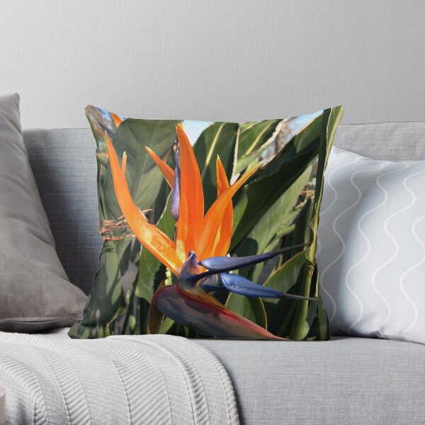 Bird of Paradise (Strelitzia) from A Gardener's Notebook Throw Pillow