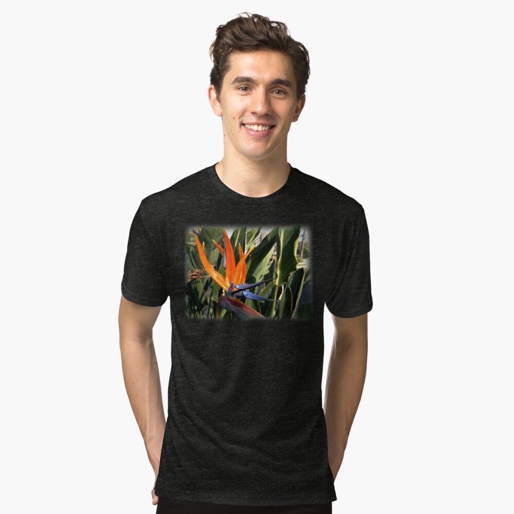 Bird of Paradise (Strelitzia) from A Gardener's Notebook Tri-blend T-Shirt