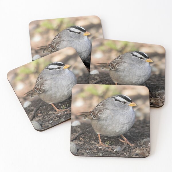 Item preview, White-Crowned Sparrow at the Park designed and sold by walkswithnature.