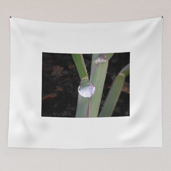 Item preview, ©NS Balance IA. designed and sold by OmarHernandez.