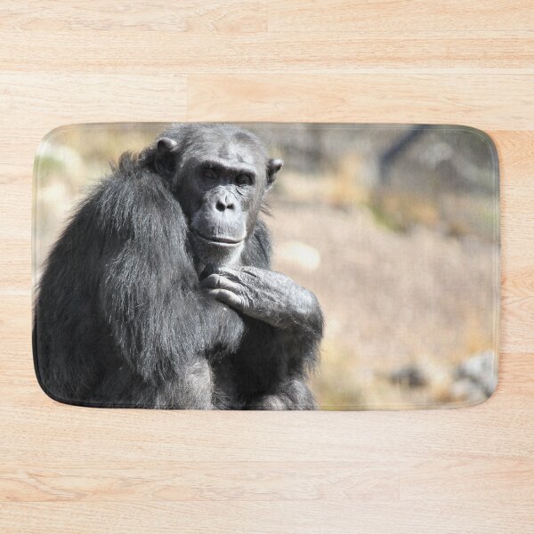 Item preview, Chimpanzee Monarto Zoo designed and sold by Linda Hammond.