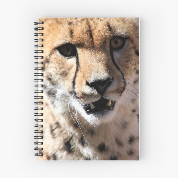 Item preview, Cheetah Monarto Zoo designed and sold by Linda  Hammond.