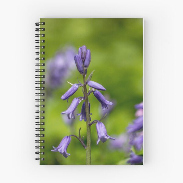 Item preview, Bluebells in a Meadow designed and sold by Pixie Copley LRPS.