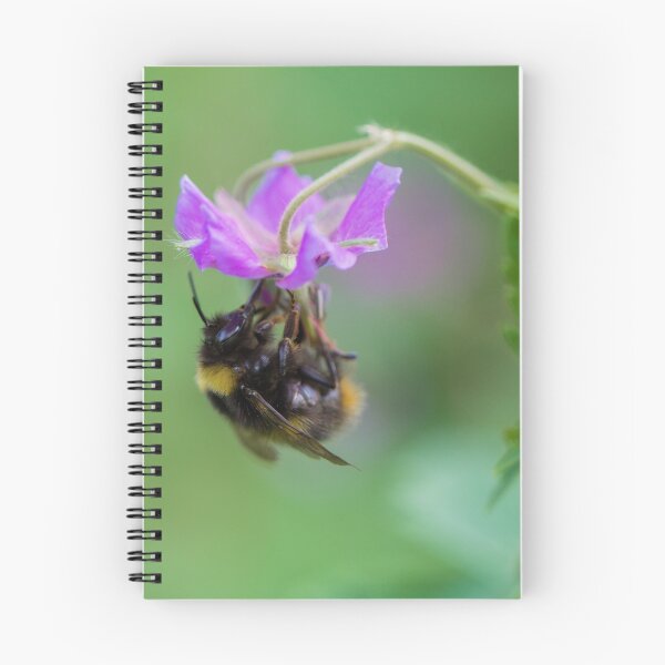 Aperçu de l'œuvre Bumble Bee - Square Picture créée et vendue par Pixie Copley LRPS.