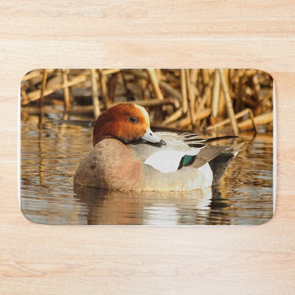 Item preview, Eurasian Wigeon at the Pond designed and sold by walkswithnature.