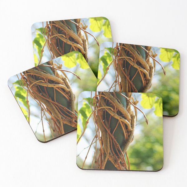 Item preview, Architecture 17 designed and sold by rebeccaholbrook.