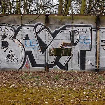 Artwork thumbnail, Baxter by Rees Adams