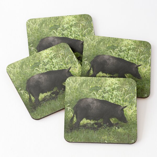 Item preview, Black wild Pig designed and sold by Zina Stromberg.