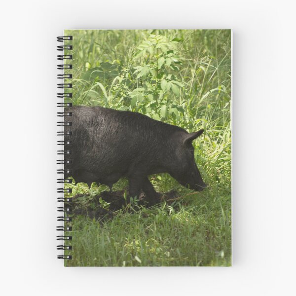 Item preview, Black wild Pig designed and sold by Zina Stromberg.