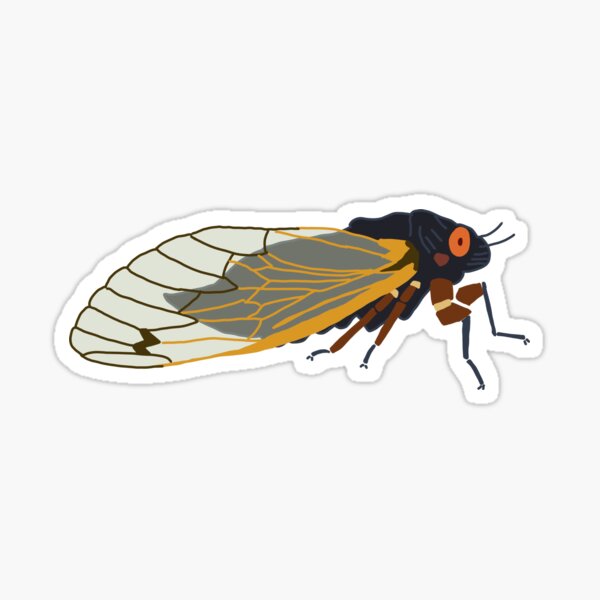 17 year periodical cicada Sticker
