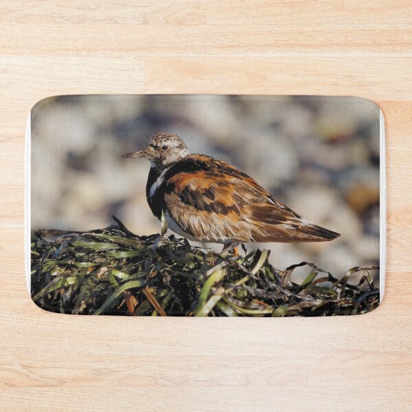 Item preview, Ruddy Turnstone at the Beach designed and sold by walkswithnature.