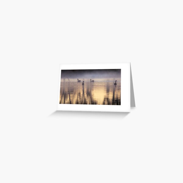 Item preview, Black swans winter scenery designed and sold by Jessy Willemse.