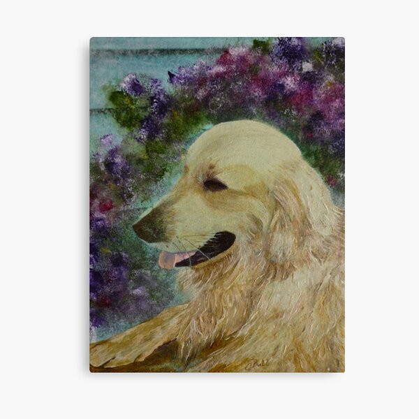 Beautiful Golden Retriever Canvas Print