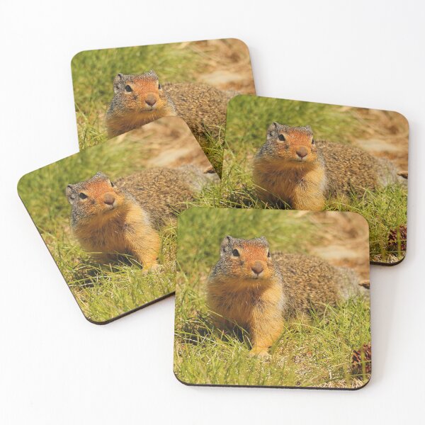 Item preview, A Hopeful Columbian Ground Squirrel designed and sold by walkswithnature.