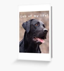Lab of my life! Greeting Card