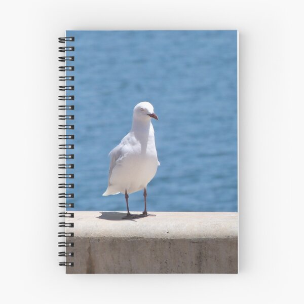 Item preview, 'OOPS'!  A Calling Card! Native Silver Gull, Port Adelaide Wharf. South Australia.  designed and sold by RitaBlom.