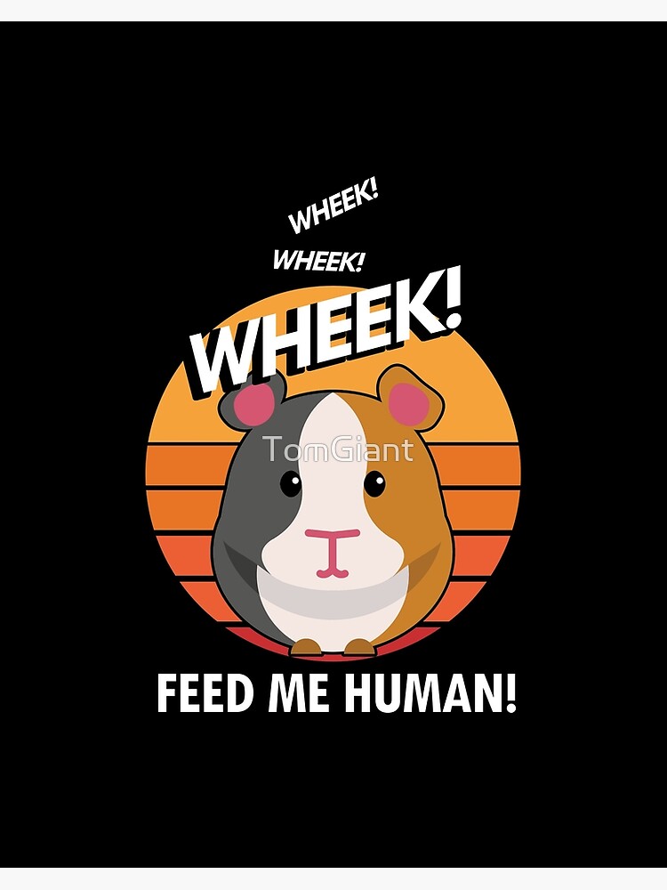why do guinea pigs wheek