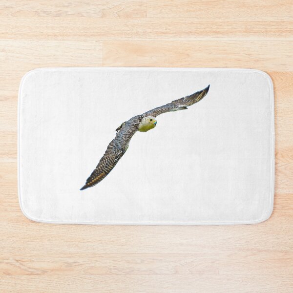 Item preview, Greenland Falcon designed and sold by Dalyndigital Photography.