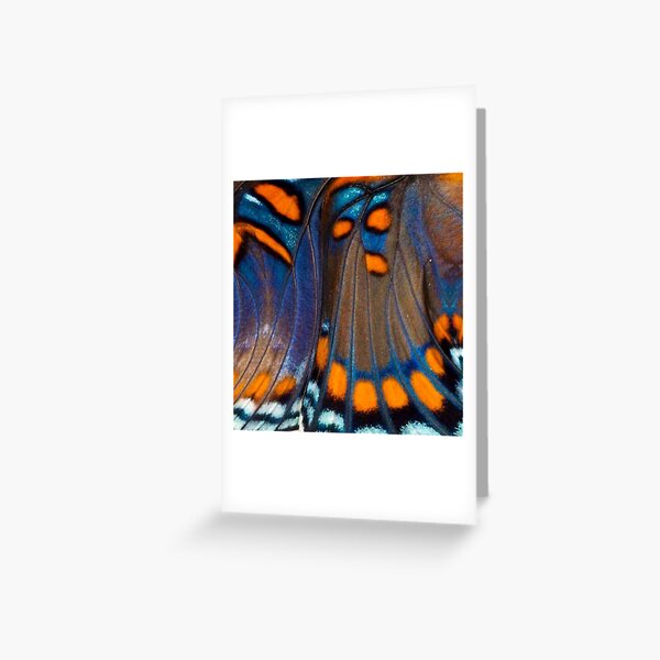 Item preview, Butterfly wing - Abstract Photographic Art by Fluid Nature designed and sold by vmajzlik.