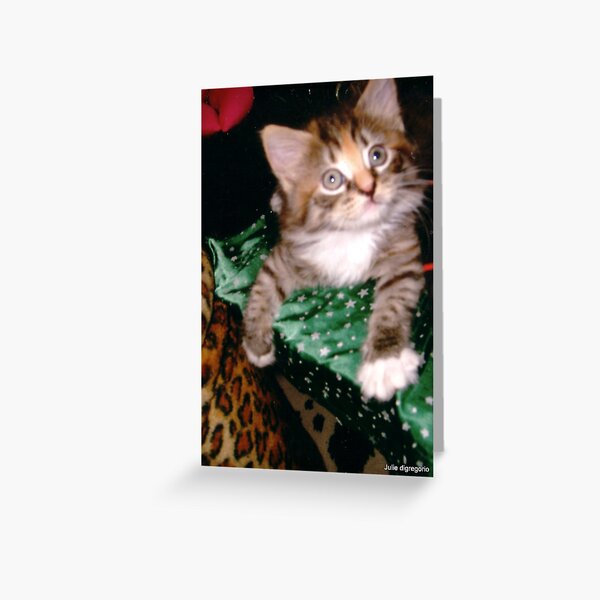 Nancy 08 Greeting Card