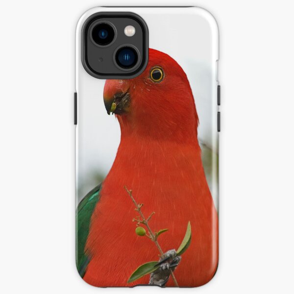 King Parrot iPhone Tough Case