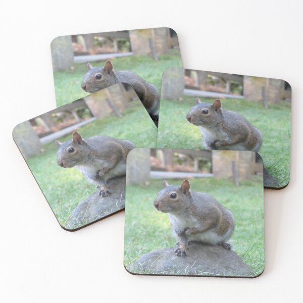 Item preview, Squirrel  designed and sold by deanworld.