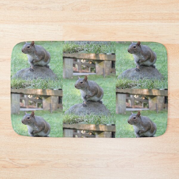 Item preview, Squirrel  designed and sold by deanworld.