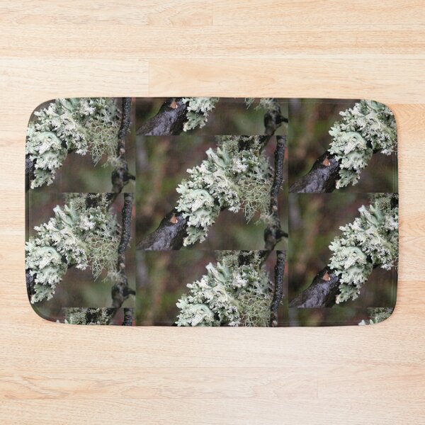 Item preview, Two kinds of White lichens, Cradle Mountain, Tasmania, Australia. designed and sold by kaysharp.